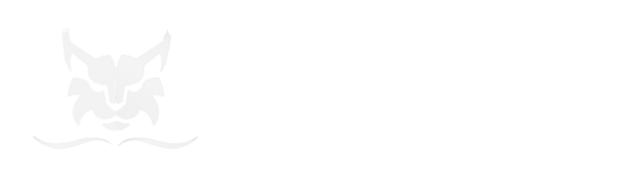 Gatil Asgard Giants – Maine Coon
