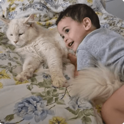 asgard giants gatil maine coon raça mainecoon gato gatos filhote gatinho kitty kiten cat cats criador criação