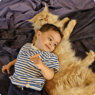 asgard giants gatil maine coon raça mainecoon gato gatos filhote gatinho kitty kiten cat cats criador criação