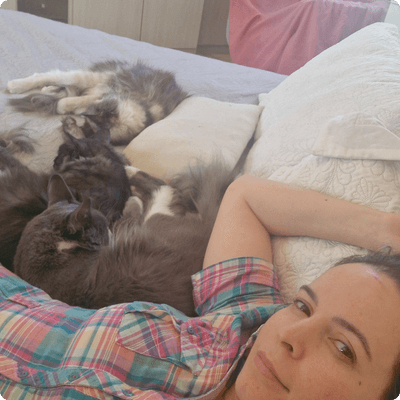 asgard giants gatil maine coon raça mainecoon gato gatos filhote gatinho kitty kiten cat cats criador criação